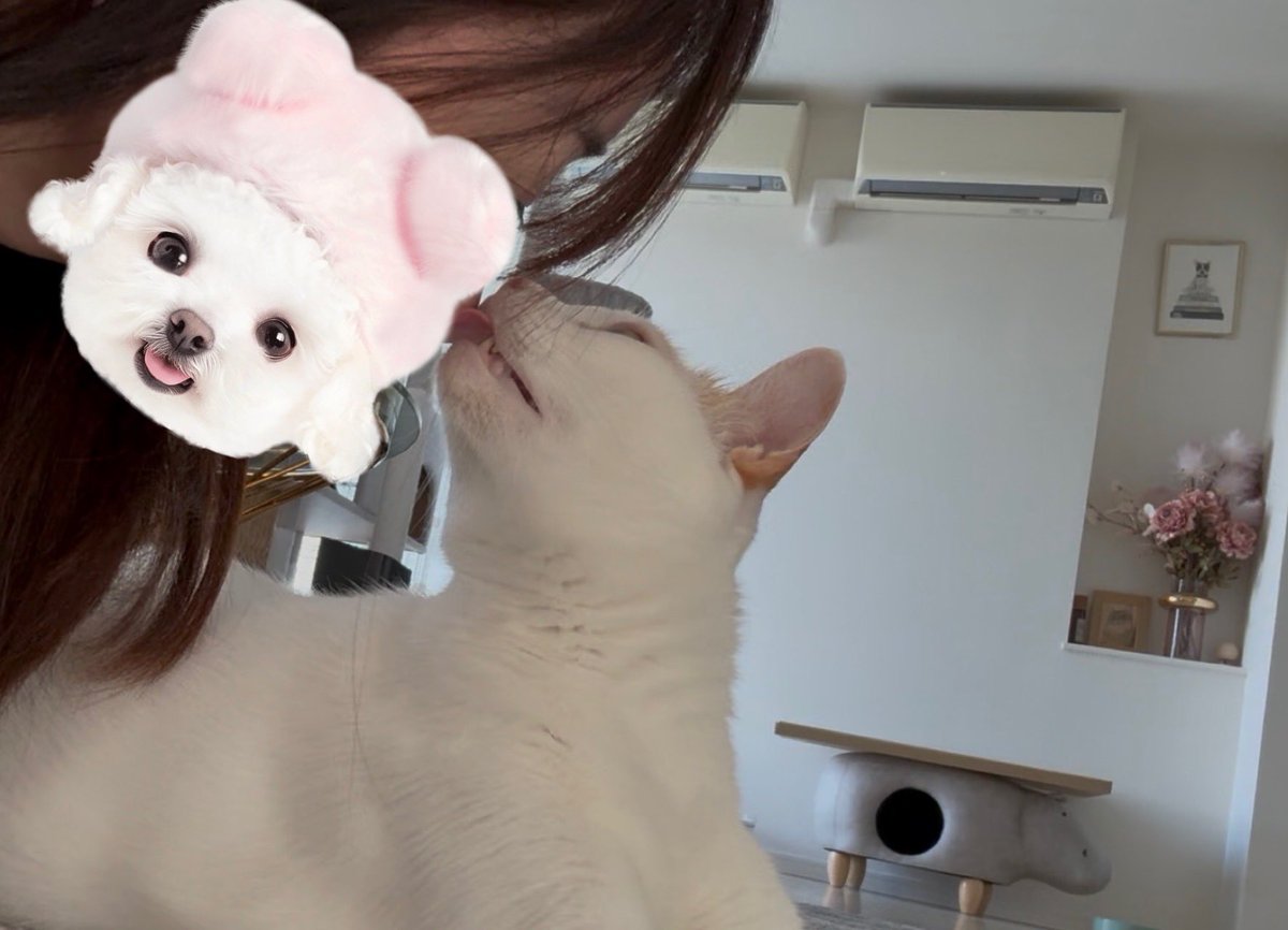 sudahotate's tweet image. 鼻チュー