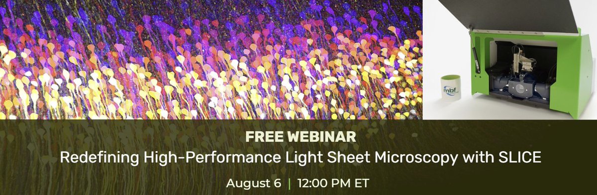 MBF Bioscience (@mbfbioscience) on Twitter photo 🎓 Free Webinar: Redefining Light Sheet Microscopy with SLICE™
Join Dr. Raju Tomer, Associate Professor <a href="/Columbia/">Columbia University</a> and the inventor of Light Sheet Theta Microscopy, alongside Matt Fay (MBF Bioscience) to learn how SLICE is making 3D imaging more accessible.
📅 Aug 6 @ 12PM ET 🎓 Free Webinar: Redefining Light Sheet Microscopy with SLICE™
Join Dr. Raju Tomer, Associate Professor <a href="/Columbia/">Columbia University</a> and the inventor of Light Sheet Theta Microscopy, alongside Matt Fay (MBF Bioscience) to learn how SLICE is making 3D imaging more accessible.
📅 Aug 6 @ 12PM ET