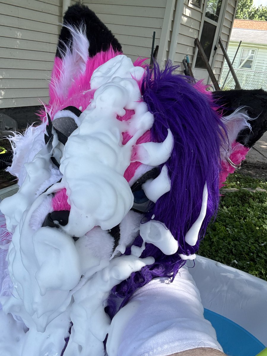 chloefoxie's tweet photo. Tested out my new foaming system. Tomorrow I’ll get the new brush and I’ll post more pics! #Carwashfun #Foam #Summerfun #Furry #Fursuit 🥴❤️😶🌫️🫧🫧🫧 https://t.co/Vn4Lnp9kNg