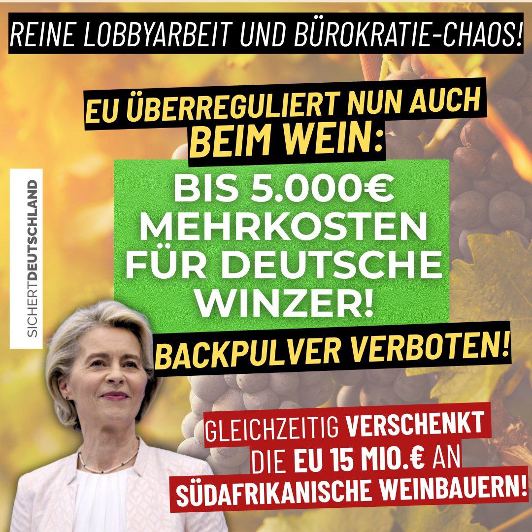 Mehrkosten für Winzer wegen EU: Diese Verordnung ist absurd!

Winzer in Deutschland dürfen nicht mehr handelsübliches Backpulver (Natriumhydrogencarbonat: altbewährt, umweltfreundlich, günstig) einsetzen, um echten Mehltau zu bekämpfen. Ein Produkt namens Natrisan wurde