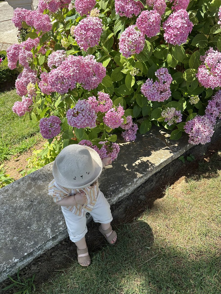 Maslak Kasrında bir çiçek✨🌸