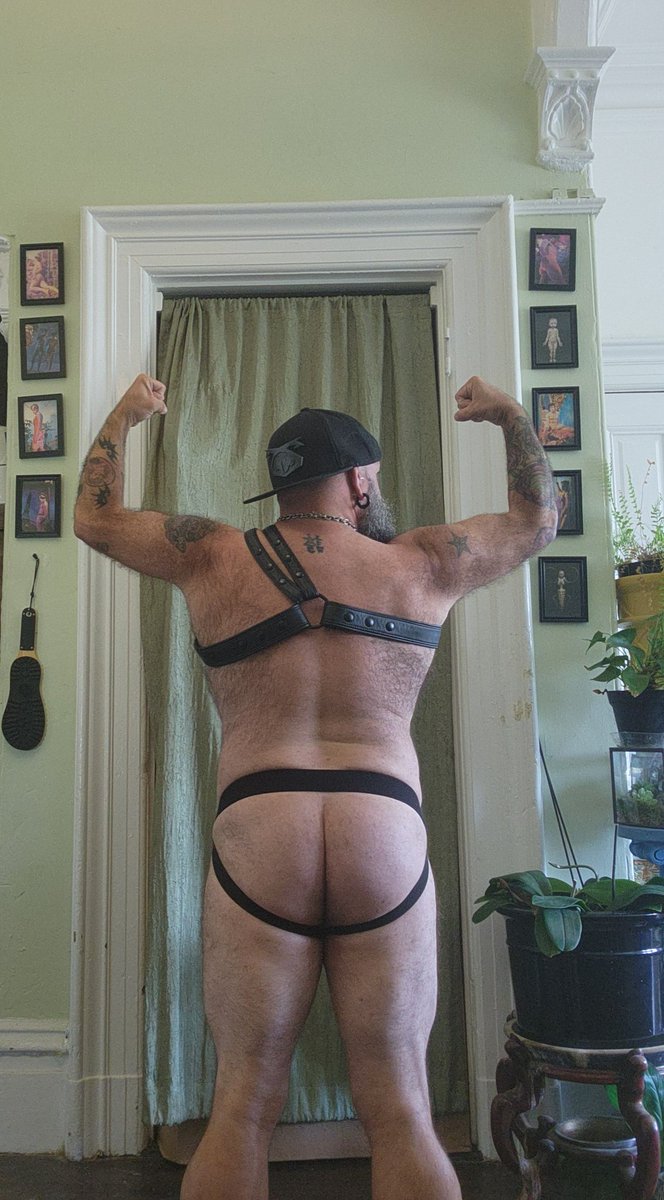 Pups ready for dore alley!