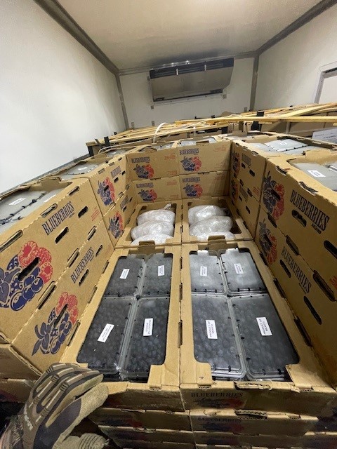 FBISanAntonio's tweet image. Between the boxes of blueberries are over 300 kg of meth!
@DEAHoustonDiv + FBI = one mission: Crushing violent crime and stopping drugs from poisoning our communities.
We appreciate the assistance of @TxDPS, @Austin_Police, Hays Co. SO, Pflugerville PD, CPPD, and Bastrop Co.…