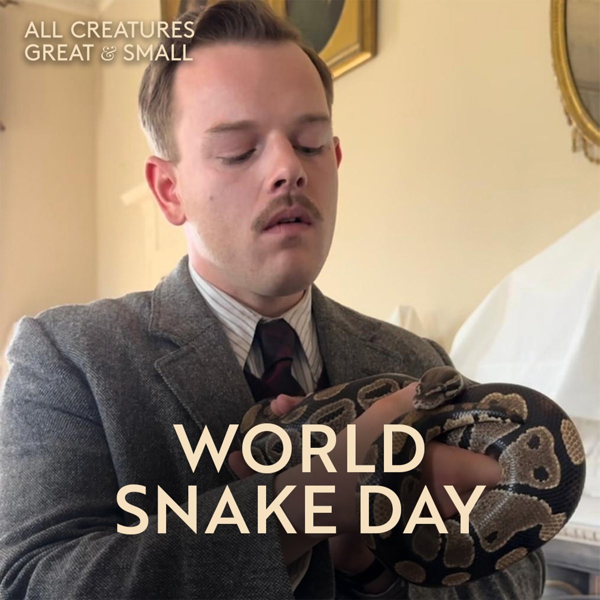 All Creatures Great and Small tweet media