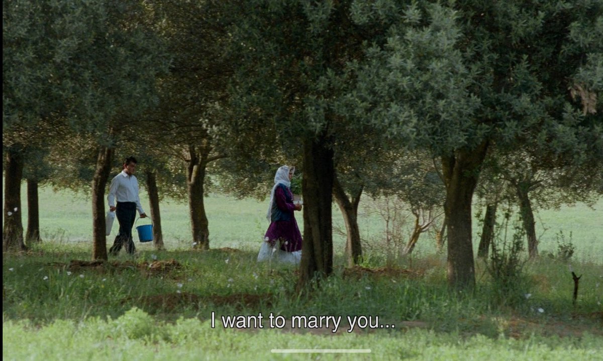 Through the Olive trees (1994)