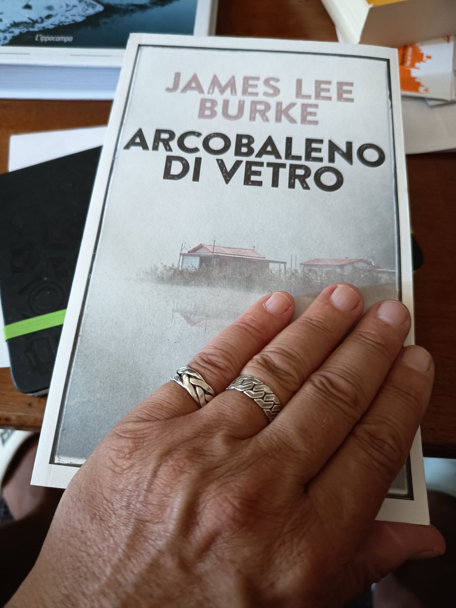 Ancora Robicheaux a districarsi fra le nebbie e le insidie del bayou in un corposo romanzo dalla copertina meravigliosa

Prossimamente...