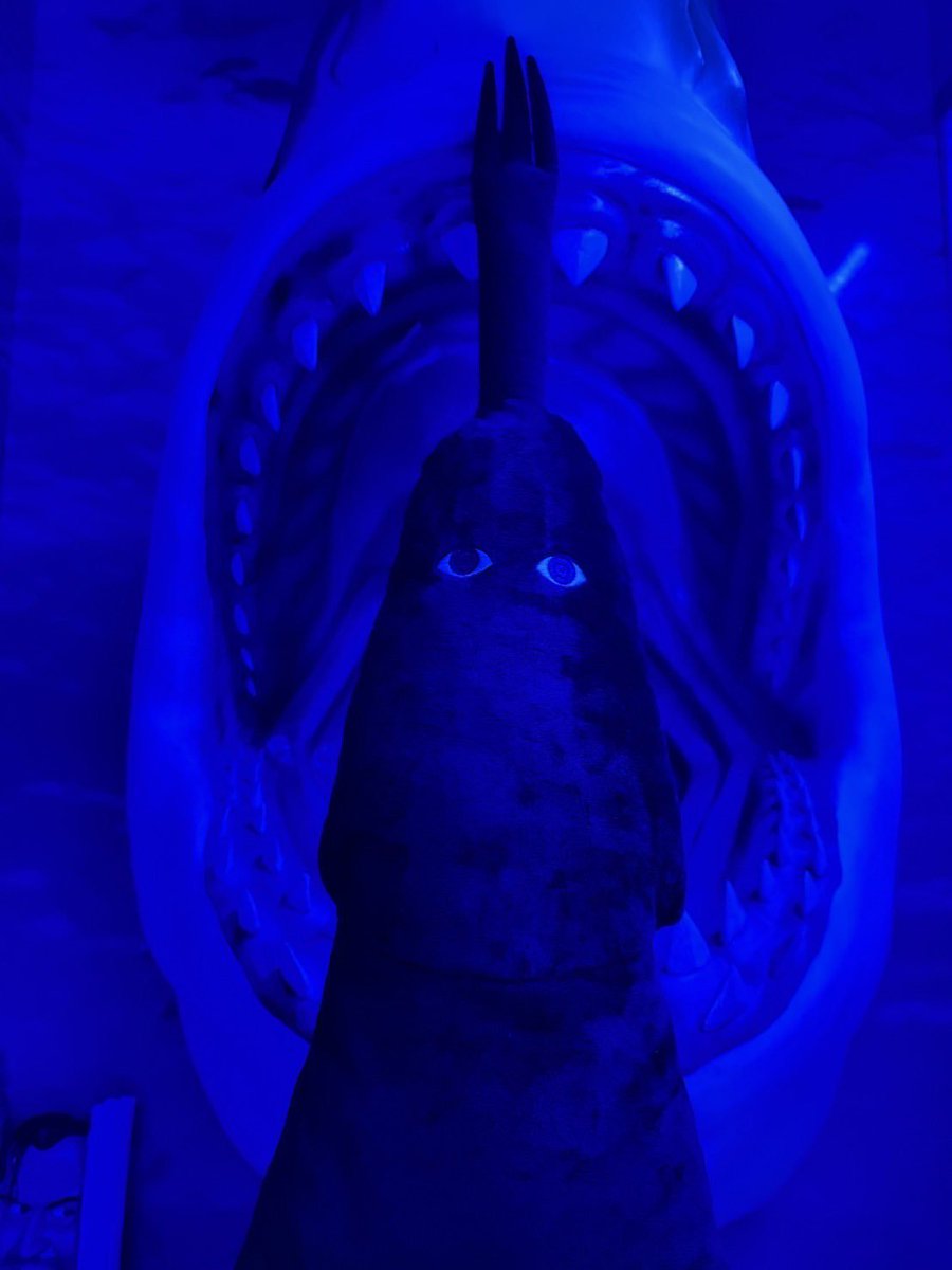 TriTriBio's tweet image. [THREAD #ONEPIECE]

Les liens entre Arlong Park, les requins et le Gouvernement Mondial

Oda a pris cette photo Lundi dernier, et même si elle peut paraître random à 1ère vue ce n'est pas forcément le cas

Il n'a pas mis Imu devant un requin par hasard croyez-moi 👀