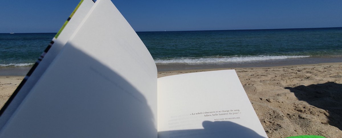 KarineLL_20's tweet image. 📖 🌊  Philippe #Labro 🖊