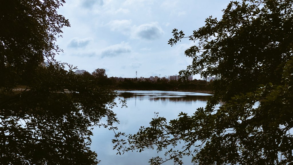 tomar_anjalii's tweet image. Silence speaks loudest by the lake♥