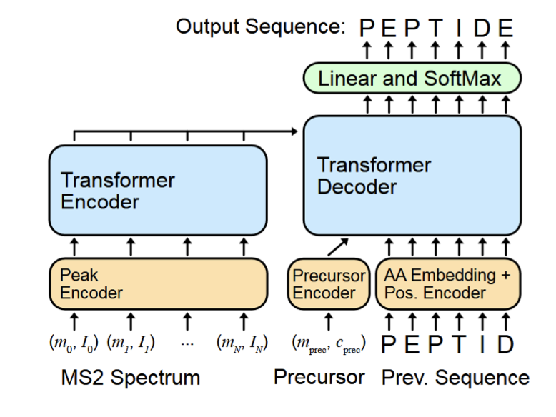 BiologyAIDaily's tweet photo. Diffusion Decoding for Peptide De Novo Sequencing

A new study investigates diffusion decoders for peptide de novo sequencing, addressing limitations of traditional autoregressive models like cascading errors and inefficient use of high-confidence regions.

The research demonstrates that while simply replacing a transformer decoder with a diffusion decoder initially lowered performance, incorporating the DINOISER loss function significantly improved amino acid recall by 0.373 compared to the Casanovo baseline.

This work highlights the potential of diffusion decoders to enhance model sensitivity and advance peptide de novo sequencing by allowing sequence generation to start from any peptide segment, leveraging high-confidence parts.

Despite the improvements in amino acid recall, the models with diffusion decoders still showed limitations in peptide precision and coverage, often producing sequences longer than the ground truth with noise at the end.

The study used Casanovo as a development framework due to its relatively lower computational demands and higher performance, training and evaluating models on a combined tryptic and non-tryptic dataset.

The authors explored three different diffusion decoder designs (Casanovo-DS, Casanovo-DM1, and Casanovo-DM2) and evaluated various loss functions, finding DINOISER to be optimal for amino acid recall.

Knapsack beam search was also investigated but resulted in worse metric performance and significantly increased training time, from approximately 1.5 hours to 35 hours for the tested models.

Future work aims to address the issue of excess noise in predicted sequences, explore hyperparameter tuning for diffusion decoder models, and conduct fair comparisons with other state-of-the-art methods using consistent datasets.

📜Paper: https://t.co/b7AbuWOIxj
#PeptideSequencing #DeepLearning #DiffusionModels #MassSpectrometry #Bioinformatics