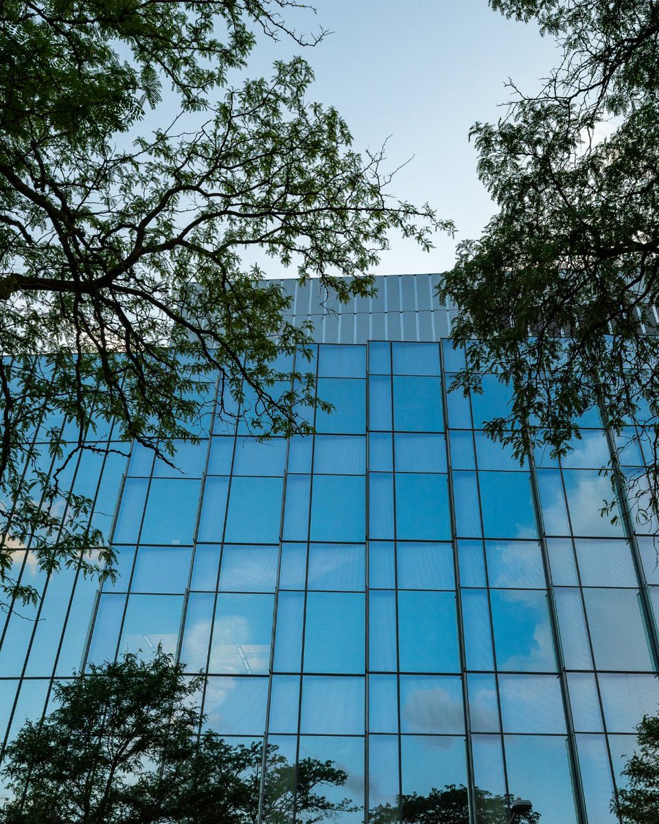 UChicago's tweet image. Blue hues in our campus views

📸 Jason Smith