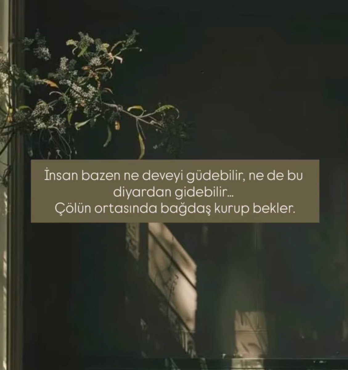 Ophelia (@opheliart_1) on Twitter photo 