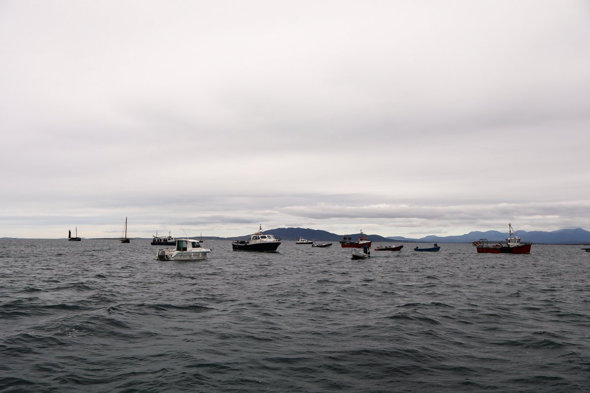 Mary Uí Fhlatharta (@fhlatharta_ui) on Twitter photo #LáMhicDara 2025
<a href="/AimsirTG4/">Aimsir TG4 ⚡</a> #LáMhicDara 2025
<a href="/AimsirTG4/">Aimsir TG4 ⚡</a>