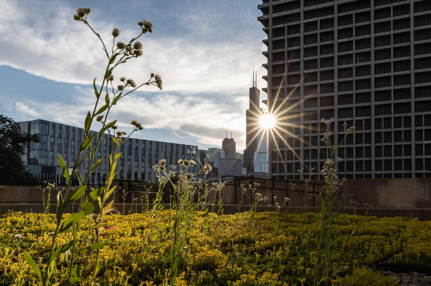 UofILSystem's tweet image. The University of Illinois Board of Trustees will meet tomorrow morning at 8:00 a.m. in Chicago. 🕗
If you'd like to livestream the meeting, use this bookmark: uis.edu/uislive 🎦