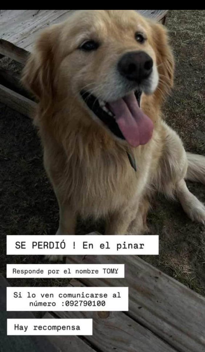 Adriana (@adriana43587622) on Twitter photo 