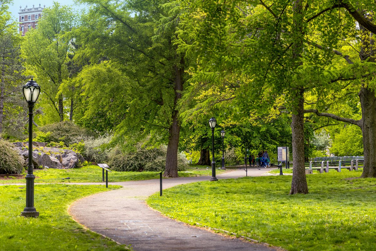 Central Park tweet media