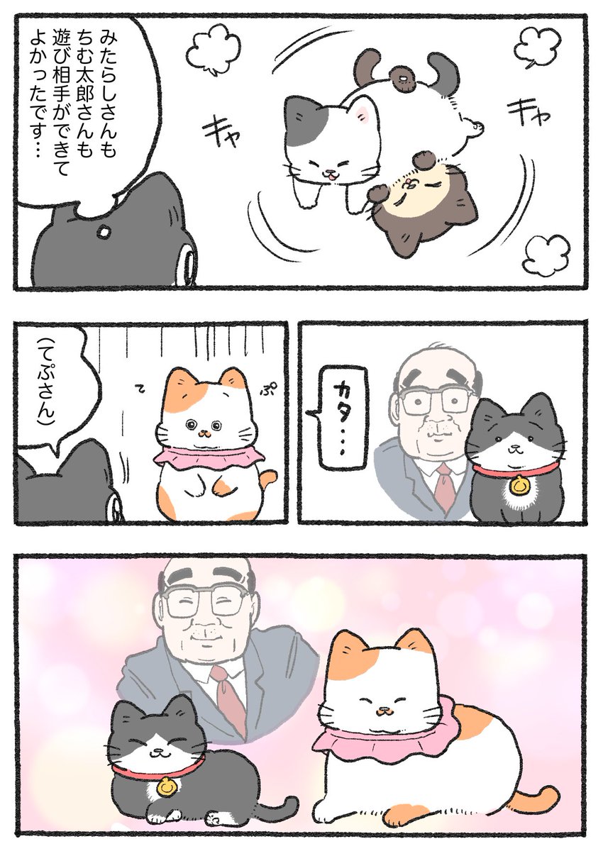 ねこおじ様 ねこに転生したおじさん。その757