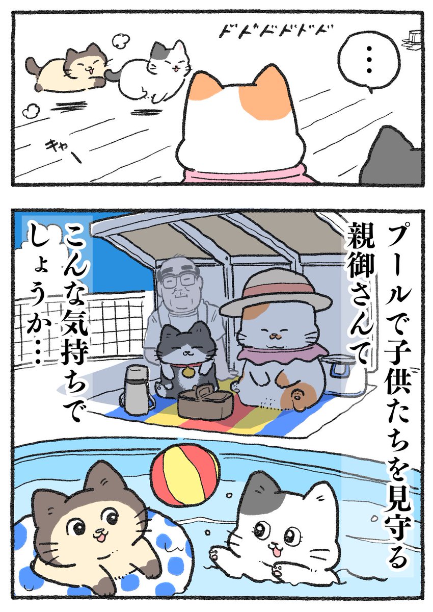 ねこおじ様 ねこに転生したおじさん。その757