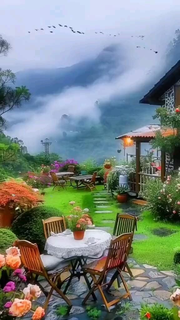 Nature Beauty (@naturebeautyh) on Twitter photo 