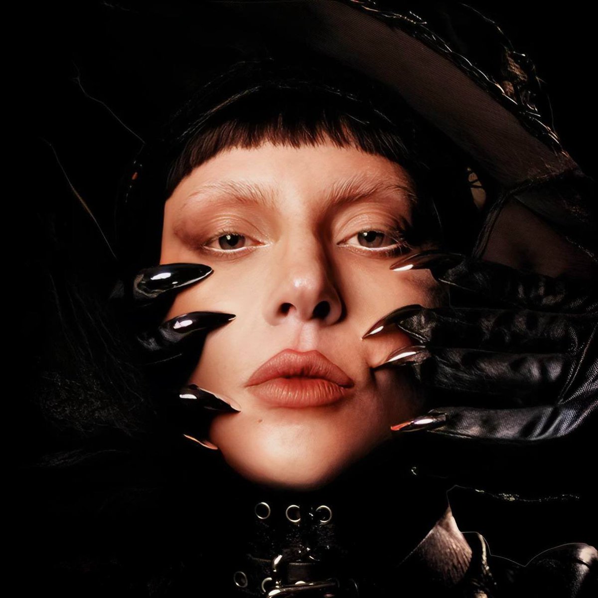 Lady Gaga Explore | ITALIA 🇮🇹 tweet media