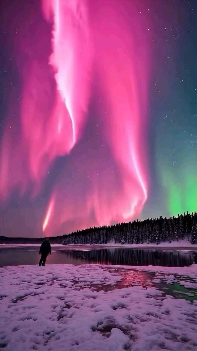 Nature Beauty (@naturebeautyh) on Twitter photo 