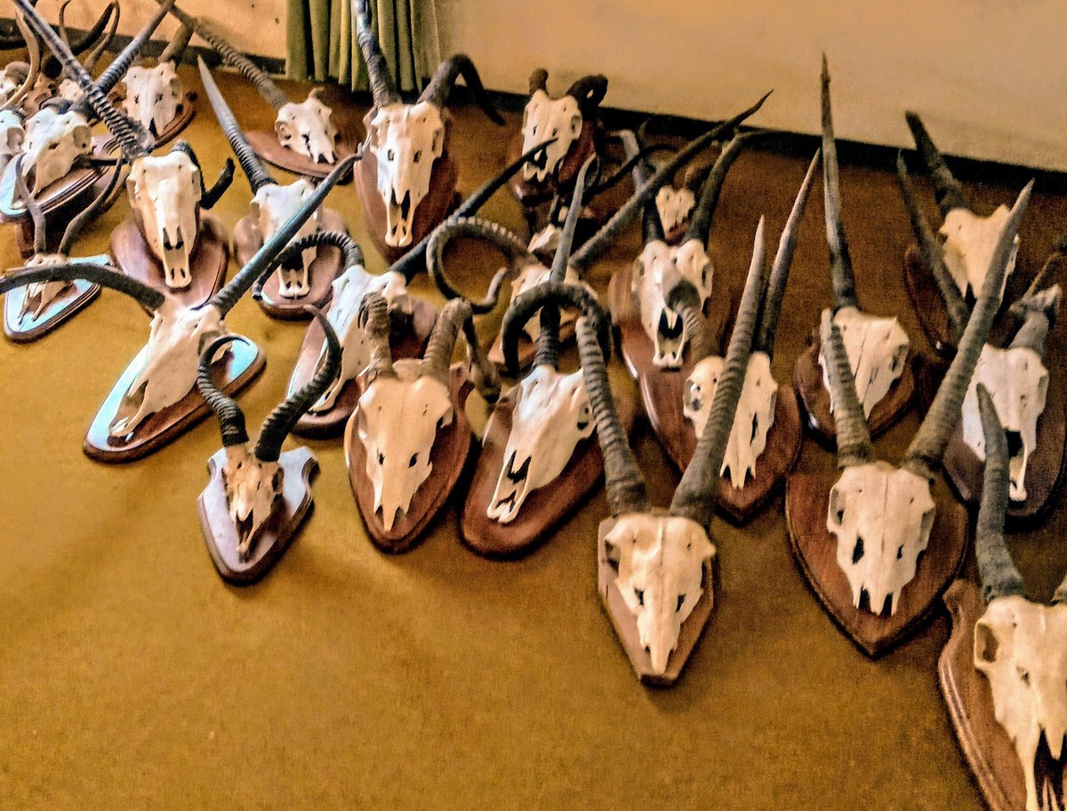 Immer diese Angst, dass man "abnorm" nicht mehr sagen darf.