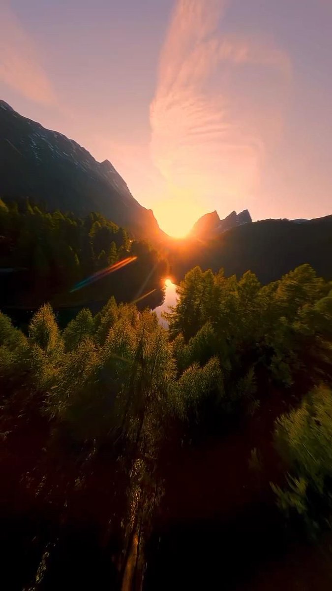 Nature Beauty (@naturebeautyh) on Twitter photo 