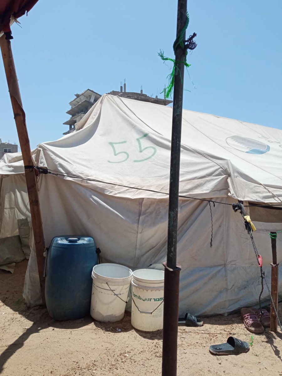 Beneath the blaze of war and in the heart of tragedy, my family lives in tents that shield neither from the burning sun nor the cold nights.
Eight souls who lost their home and safety, with no path left to a dignified life. There is not enough water, no food to ease the hunger,