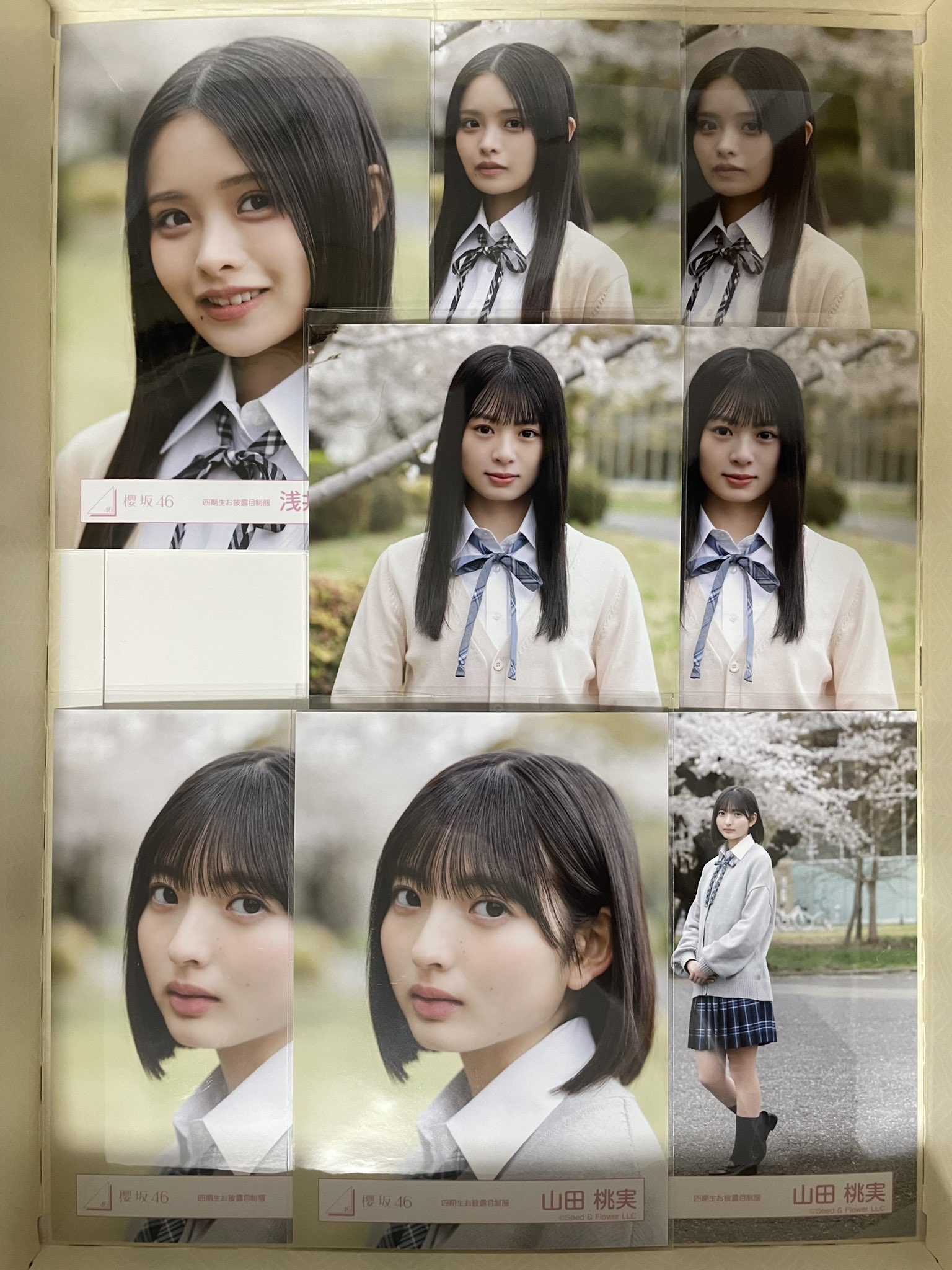 櫻坂46 浅井恋乃未 生写真 制服 私服 Tシャツ コンプ（でゅー on