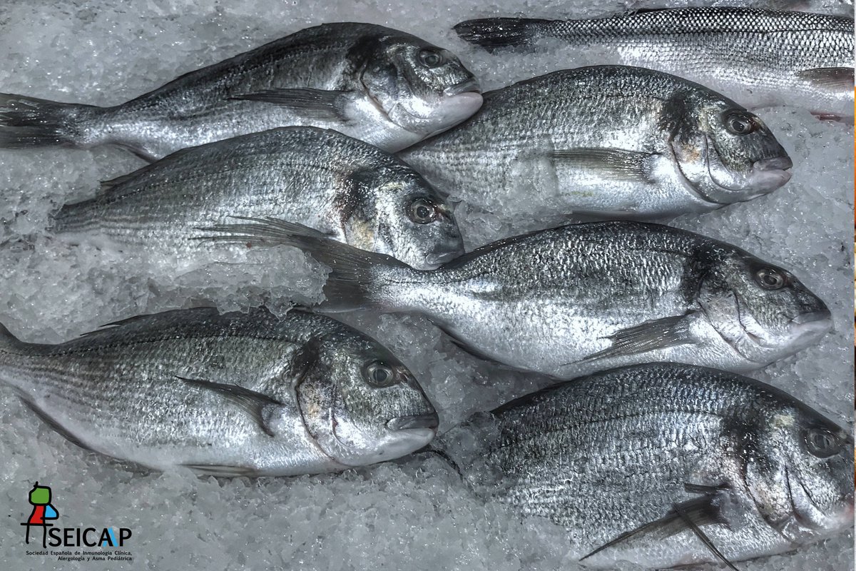 SEICAP's tweet image. ⚠️¿Cómo evitar la contaminación por anisakis?   

🐟📷La mayoría de los alérgicos a anisakis, deben consumir el pescado marino sólo si ha sido congelado (durante 1 semana y al menos a -20º)
seicap.es/alergia/alergi…