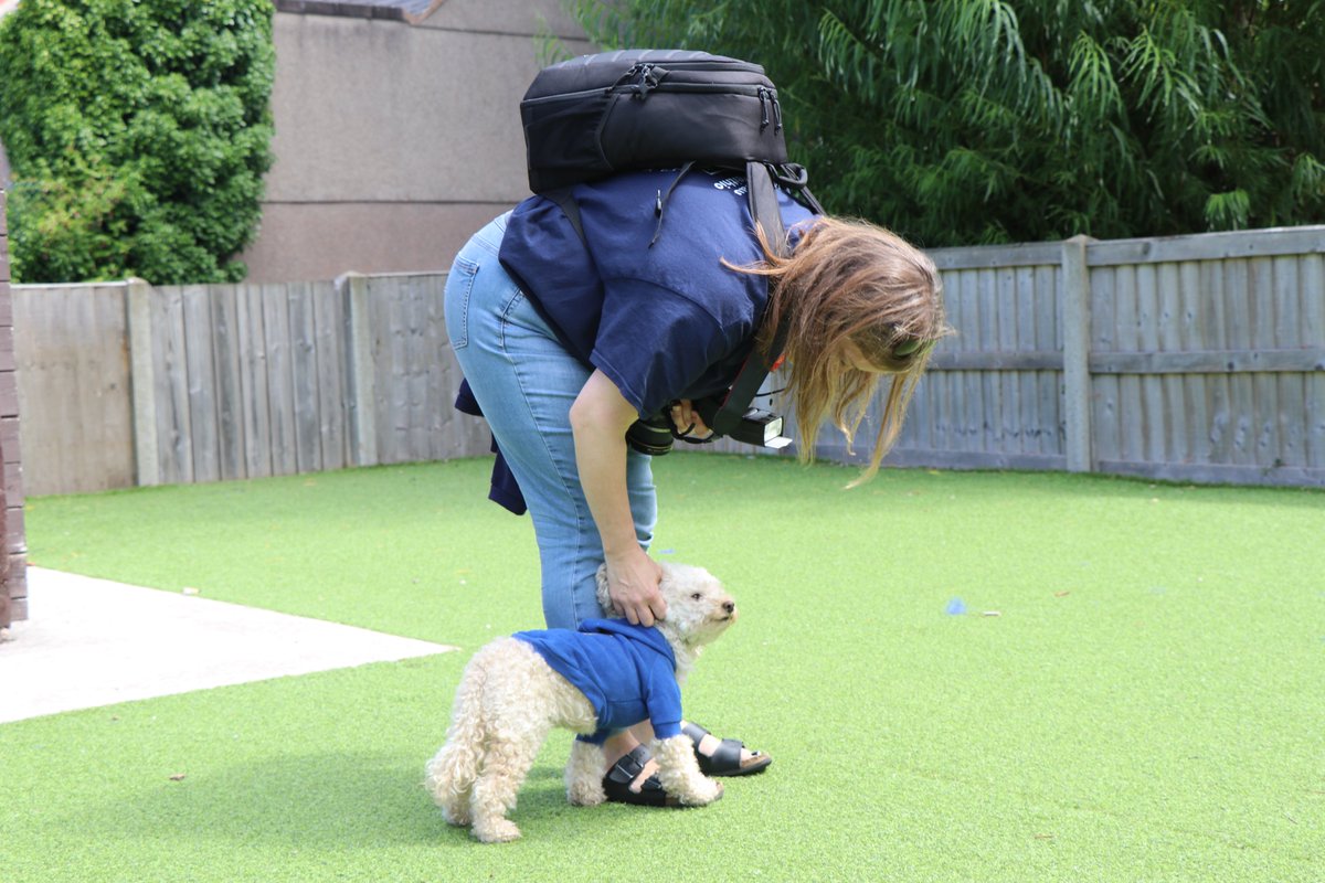 Delwedd Web Design tweet media