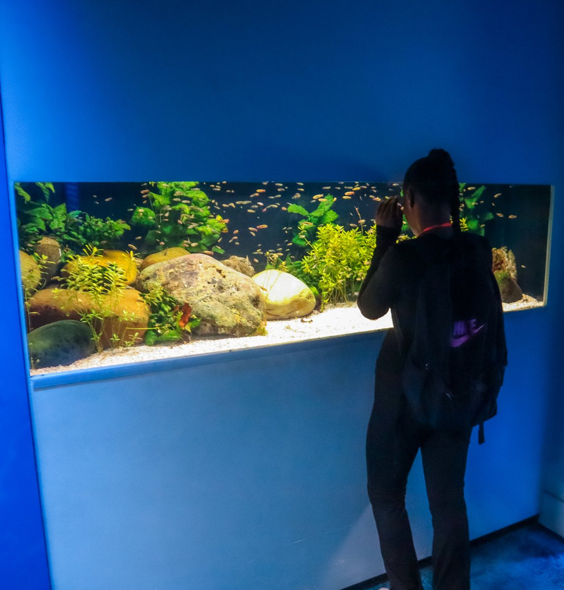 Lea Manor High School tweet media