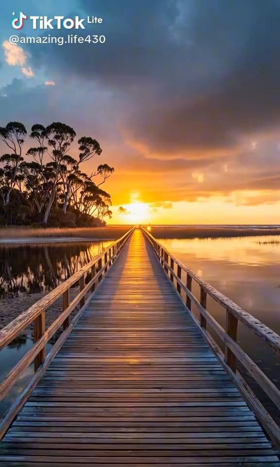 Nature Beauty (@naturebeautyh) on Twitter photo 