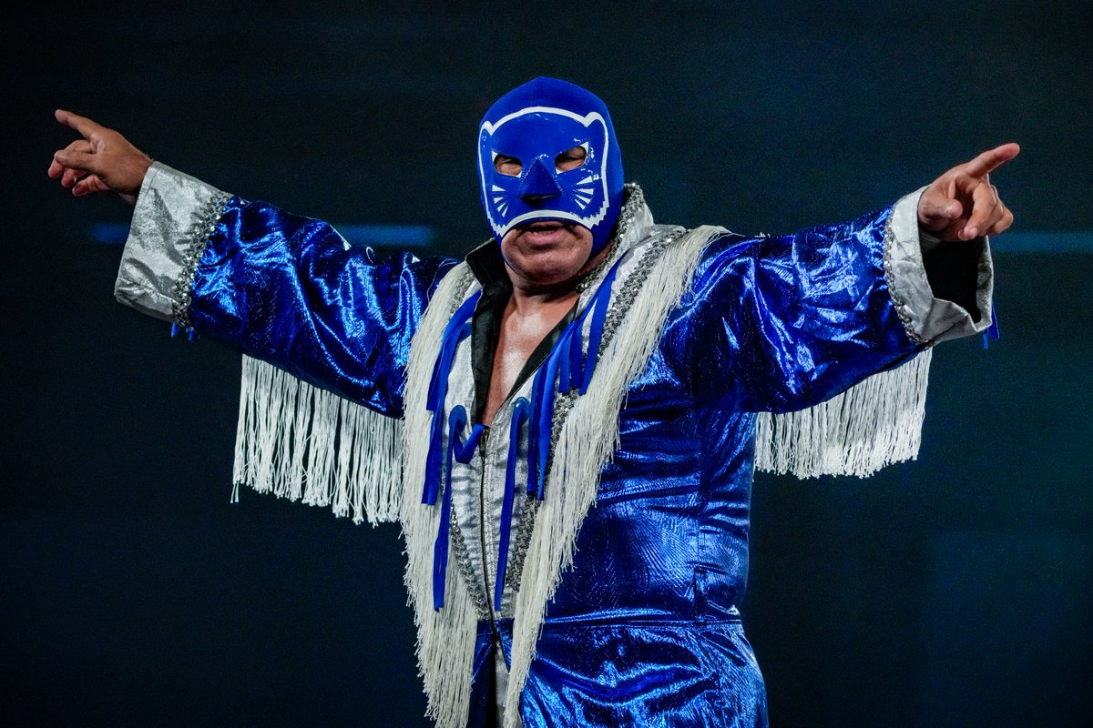 Blue Panther!

<a href="/CMLL_OFICIAL/">Lucha Libre CMLL</a> 

#CMLL #ROH 
#ROHSupercard