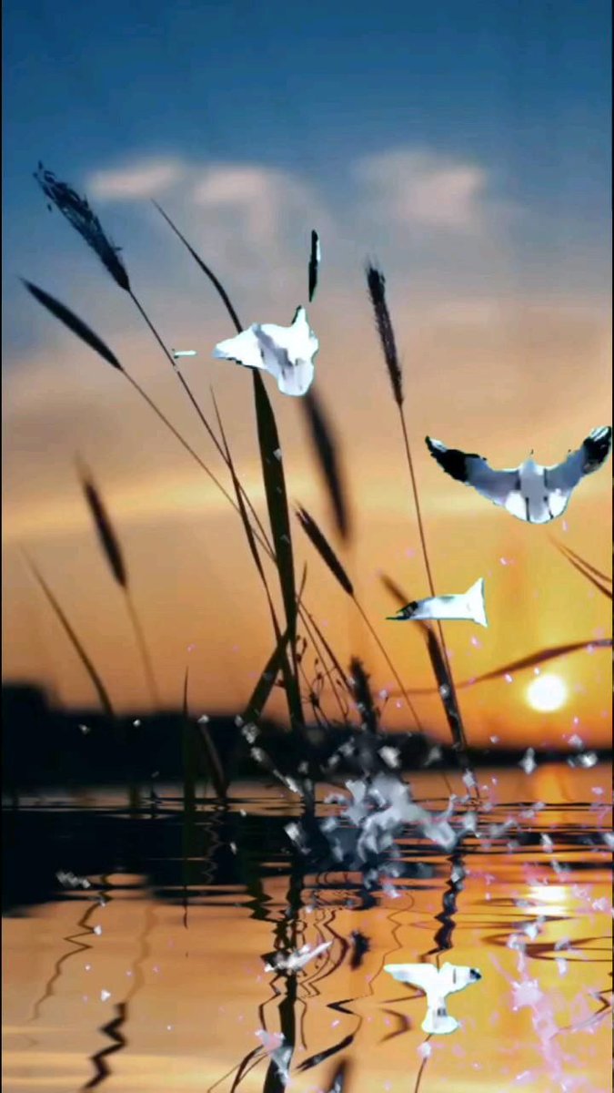 Wonderful (@wonderful1s) on Twitter photo 