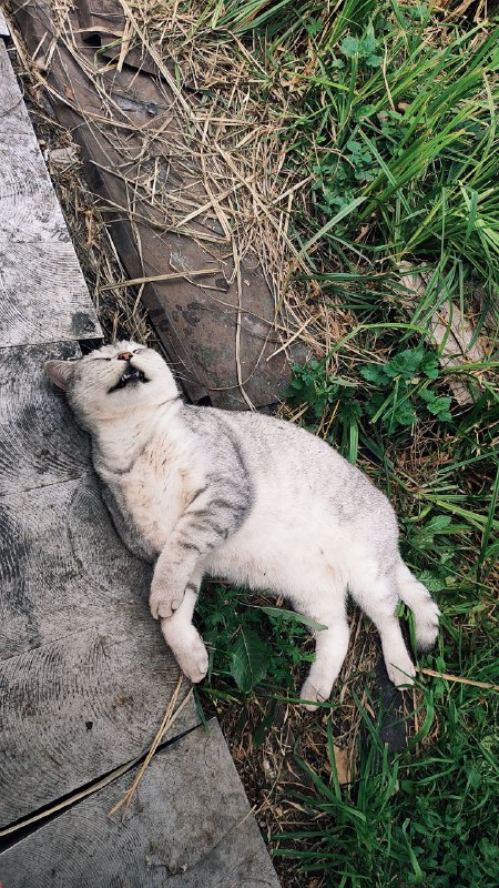 А киньте вашу последнюю фотку или сохраненку из галереи без объяснений. 

Я начну: