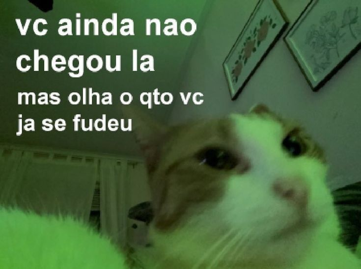 TerrorCotidiano's tweet photo. https://t.co/KJ0MIhA2LC
