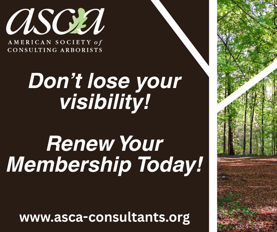🌳 Time to Renew Your ASCA Membership! 🌳
Continue shaping the future of tree consulting and renew your membership with ASCA. Don't let your benefits lapse—renew today and keep growing with ASCA! ow.ly/oRGK50Wn6LV