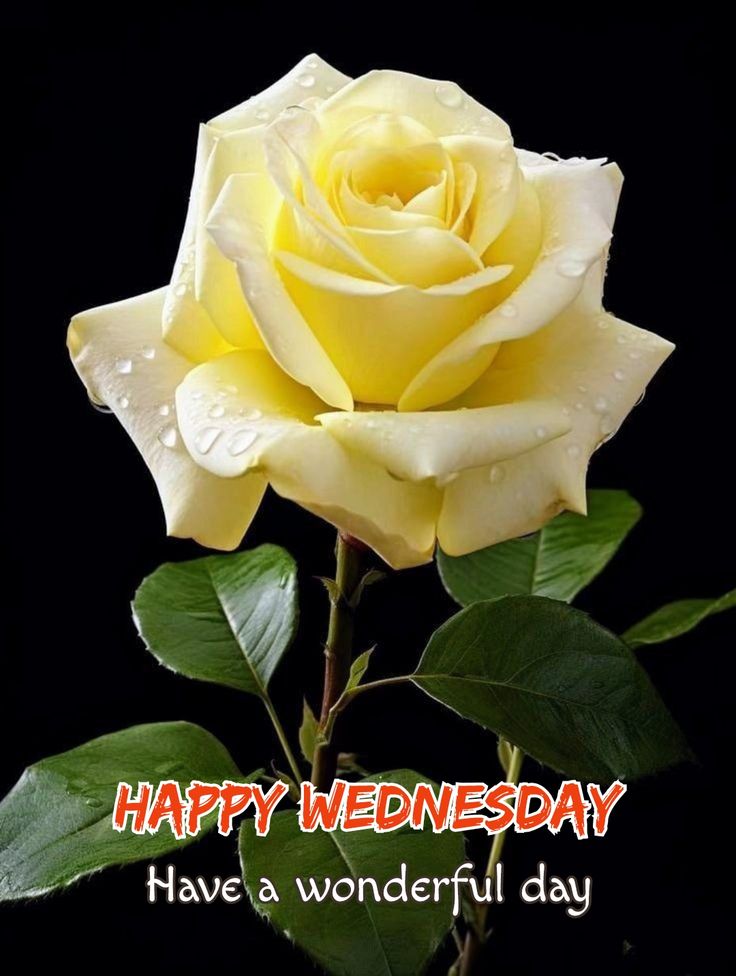 Ashis Kumar Sarkar (@ashisku77360421) on Twitter photo Wednesday vibes๐
<a href="/MQuigley1963/">Melisa Quigley Author</a> <a href="/ta_welton/">Tammy Welton</a> <a href="/NFL_FantasyPat/">nfl fantasy football patrick pucci</a> <a href="/fkaannabanana/">โพ๏ธ Just good olโ Anna Banana โพ๏ธ</a> <a href="/Frankodynamite/">Franko ๐ฅ๐ฅ๐ฅ</a> <a href="/frye5423/">fugo54</a> <a href="/KalFulsom/">Kal Fulsom</a> <a href="/13Fuzzy13/">John Fuzzy</a> <a href="/autumn_fullmoon/">Sasha</a> <a href="/GirlMia9079/">Mia The mystery girl</a> <a href="/RulesImpact/">I am TNARICHARD Cursed Senator Gary! PCO RULES!</a> <a href="/LilianWrites/">Lilian J. Gardner</a> <a href="/Meningioma_host/">Meningioma Host</a> <a href="/GinaJardines/">Cleopatra</a> <a href="/HABS_Lifer/">Habs_Girl</a> <a href="/AnitaGillette1/">Anita Gillette</a> <a href="/Sharon11641/">Sharon1164</a> <a href="/BarryHall9/">Barry Hall</a> <a href="/ClockworkHamma/">Clockwork Hamma</a> Wednesday vibes๐
<a href="/MQuigley1963/">Melisa Quigley Author</a> <a href="/ta_welton/">Tammy Welton</a> <a href="/NFL_FantasyPat/">nfl fantasy football patrick pucci</a> <a href="/fkaannabanana/">โพ๏ธ Just good olโ Anna Banana โพ๏ธ</a> <a href="/Frankodynamite/">Franko ๐ฅ๐ฅ๐ฅ</a> <a href="/frye5423/">fugo54</a> <a href="/KalFulsom/">Kal Fulsom</a> <a href="/13Fuzzy13/">John Fuzzy</a> <a href="/autumn_fullmoon/">Sasha</a> <a href="/GirlMia9079/">Mia The mystery girl</a> <a href="/RulesImpact/">I am TNARICHARD Cursed Senator Gary! PCO RULES!</a> <a href="/LilianWrites/">Lilian J. Gardner</a> <a href="/Meningioma_host/">Meningioma Host</a> <a href="/GinaJardines/">Cleopatra</a> <a href="/HABS_Lifer/">Habs_Girl</a> <a href="/AnitaGillette1/">Anita Gillette</a> <a href="/Sharon11641/">Sharon1164</a> <a href="/BarryHall9/">Barry Hall</a> <a href="/ClockworkHamma/">Clockwork Hamma</a>