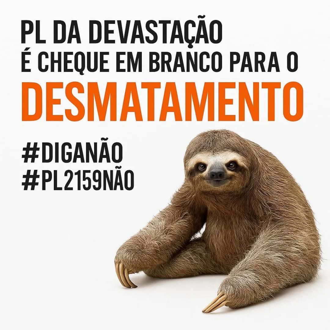 rebordosa60's tweet image. PL Da Devastação #DigaNão  #PL2159Não