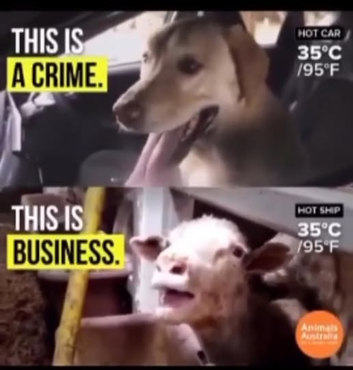 Ellie CG (@elliecg11) on Twitter photo 