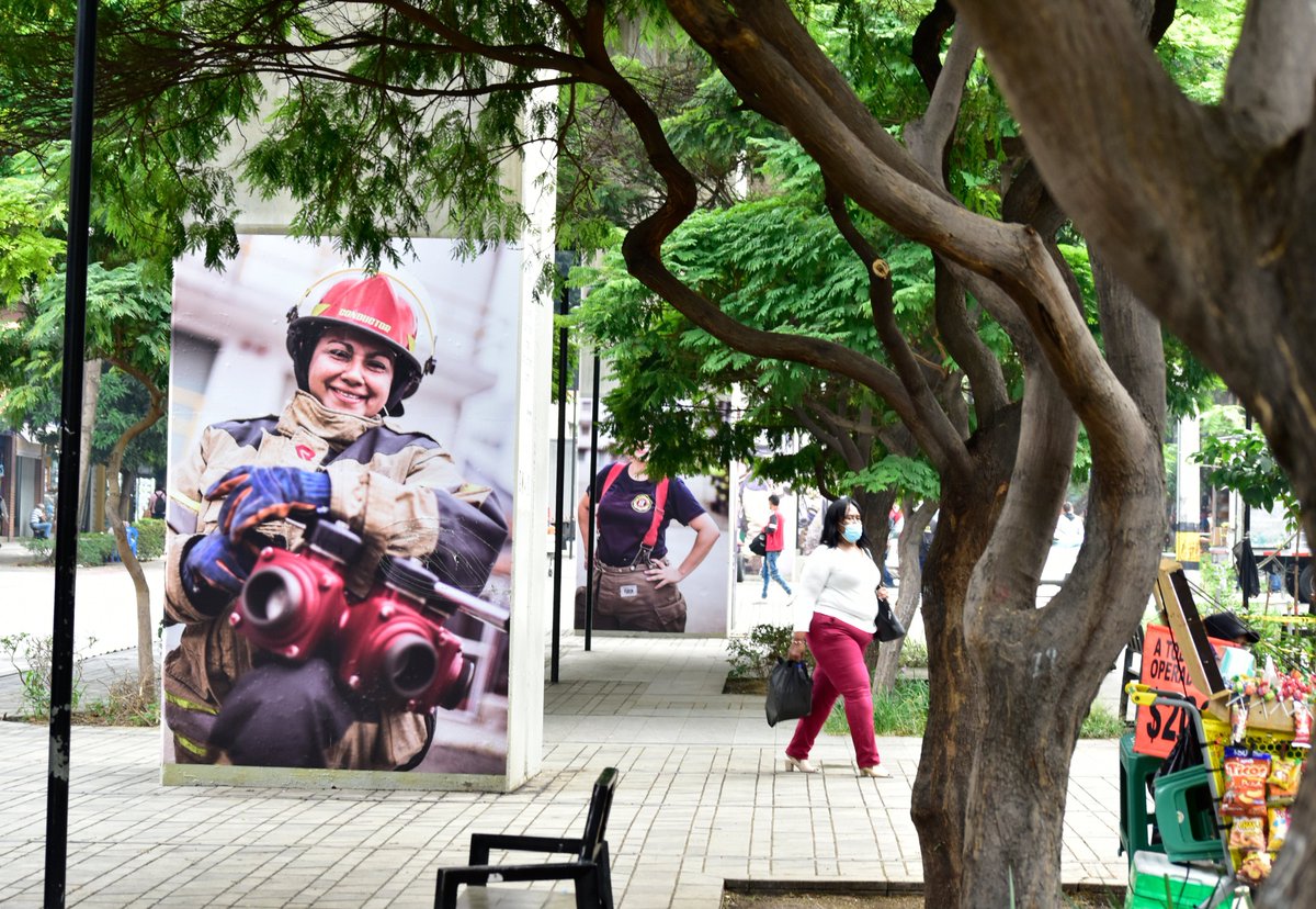 Metro de Medellín tweet media