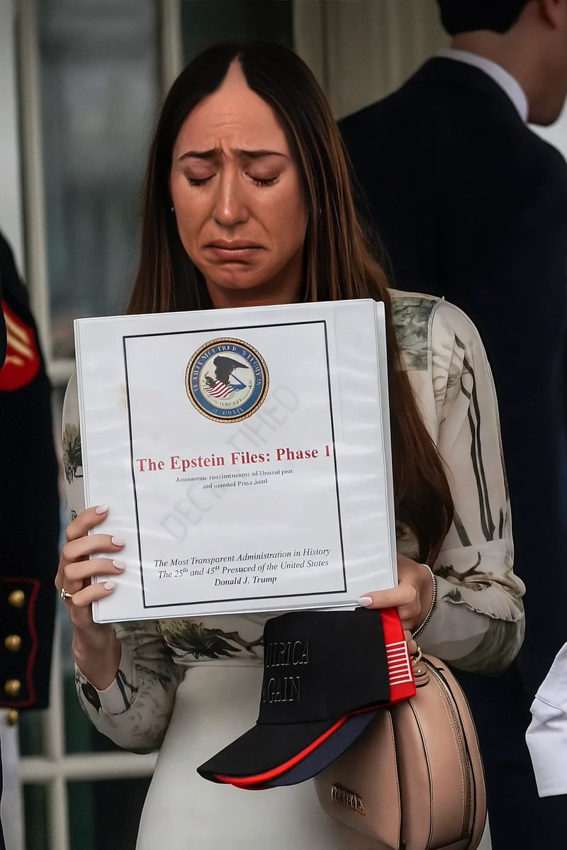 GaryPetersonUSA's tweet image. A tearful Chaya apologizes to President Trump for pushing the Jeffrey Epstein Hoax with binders given by President Trump.