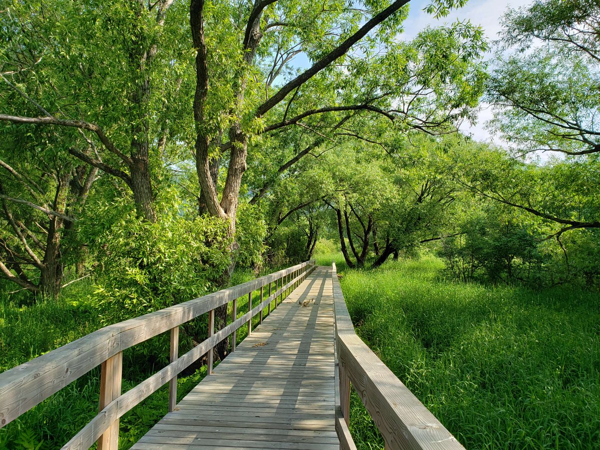 environmentca's tweet image. Love #BirdWatching, snapping nature shots, or discovering a new walking trail? #NationalWildlifeAreas are made for you!
Find one close to you: ow.ly/nfaj50WqbcP
#ProtectNature