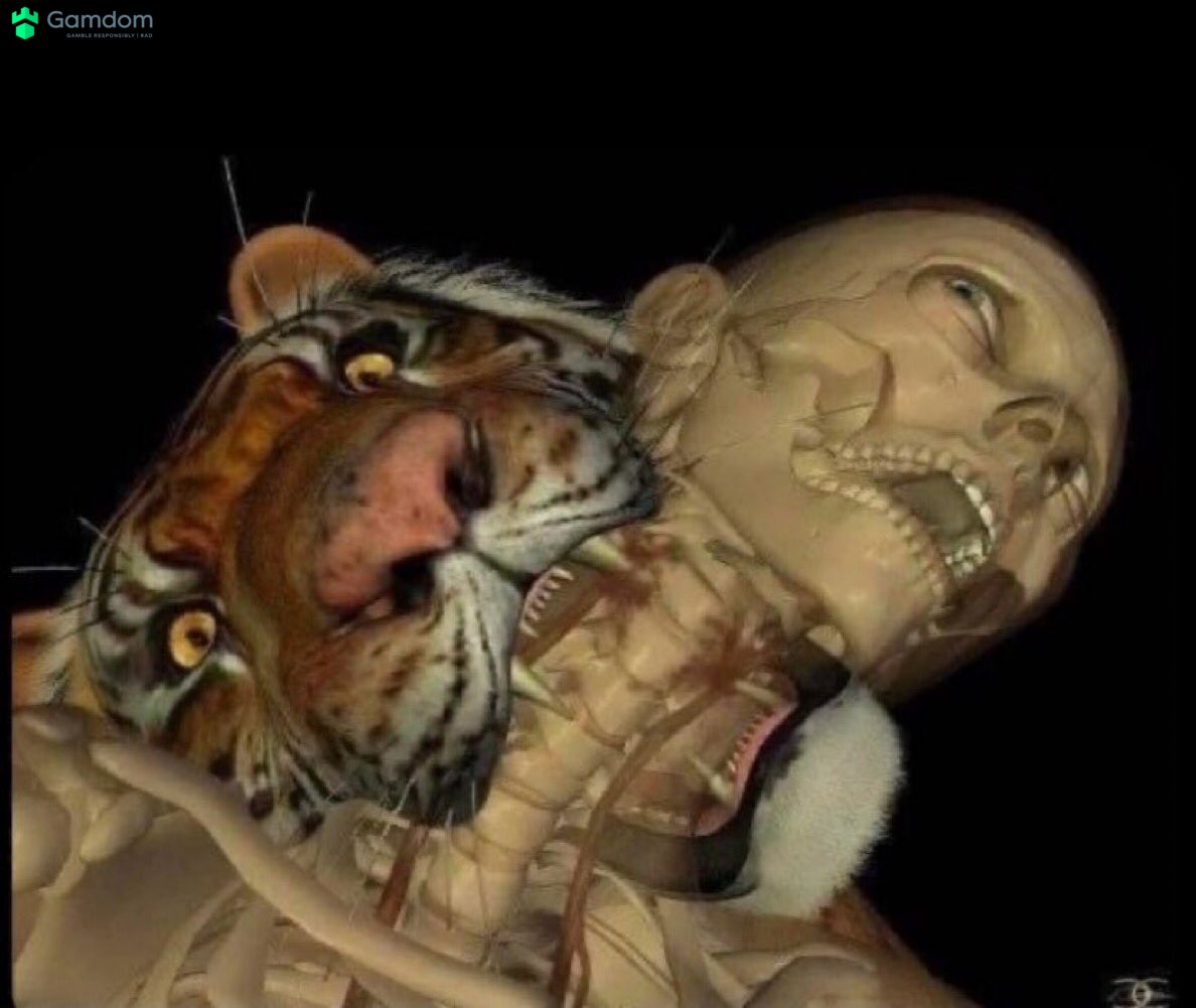 wyd in this situation?