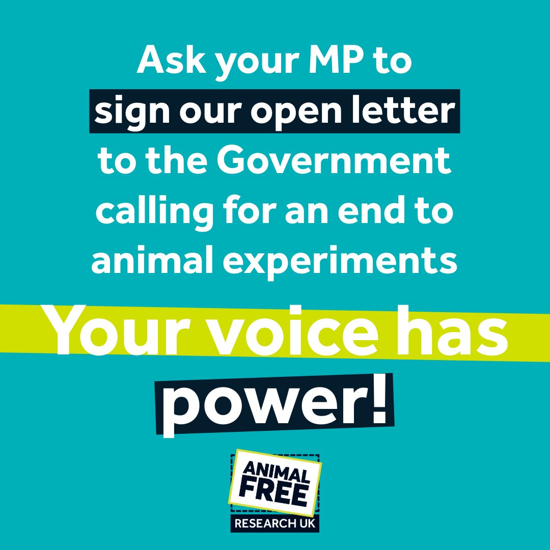 AFR_UK's tweet image. 46 MPs & Peers have signed a cross-party letter urging the Govt to replace animal experiments with humane alternatives! 🌱
Celebs incl. Dame Joanna Lumley, Will Young & Deborah Meaden back the call.
✍️ Ask your MP to sign: secure.animalfreeresearchuk.org/page/174317/ac…
#HerbiesLaw #KinderScience