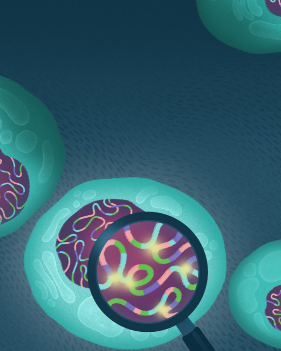 BCD_AACR's tweet image. Enhancer Hijacking Discovery in Acute Myeloid Leukemia by Pyjacker Identifies MNX1 Activation via Deletion 7q: brnw.ch/21wUc0Q #AMLsm