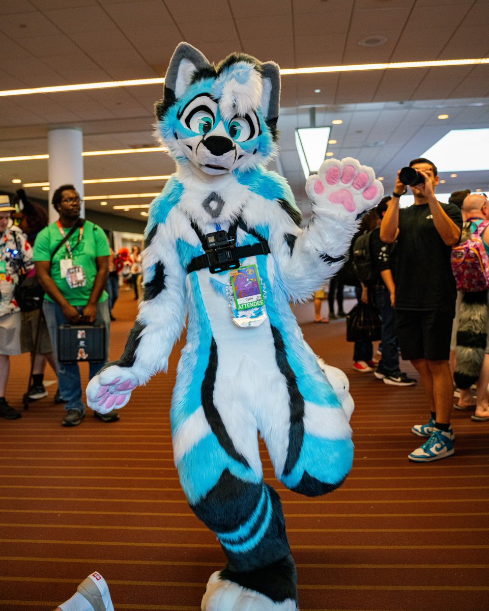 CybrFur's tweet image. Walking on sunshine ☀️ ✨
🧵 @sheenitude
📸 @GallantWicker