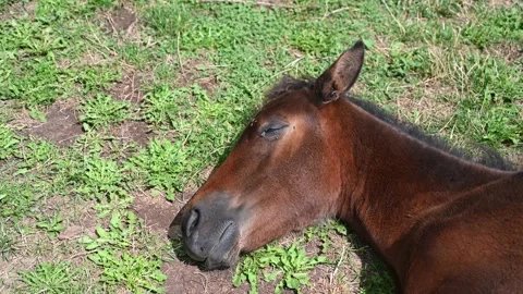Ich habe keine Elektrolyten mehr.