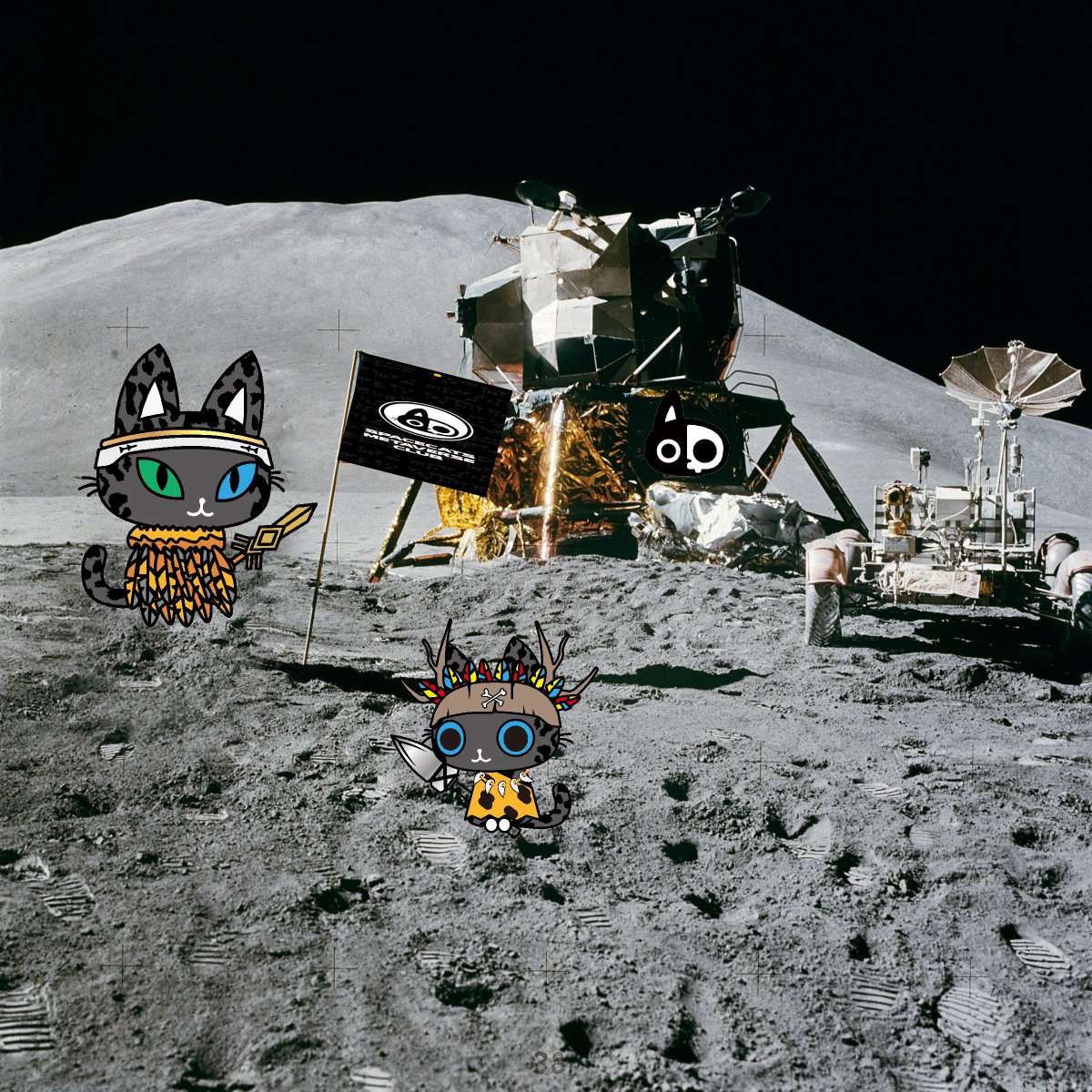 CosmicCatOG's tweet photo. @debutonsol Coin your community with Debut ⭐ CosmicCats
The cats wandering in the universe found their first home and hoped to establish a community. This was a beginning.@debutonsol https://t.co/Rzn9A9cm3L
